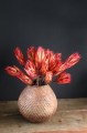 Vaas bol mid met Protea Pendula 800